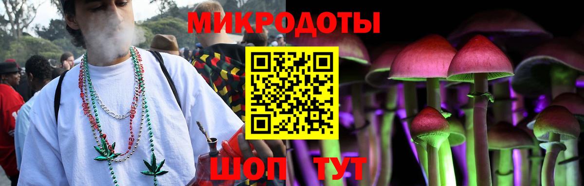 Псилоцибиновые грибы MAGIC MUSHROOMS  Псилоцибиновые грибы GOLDEN TEACHER  Вход с VPN  Хасавюрт 